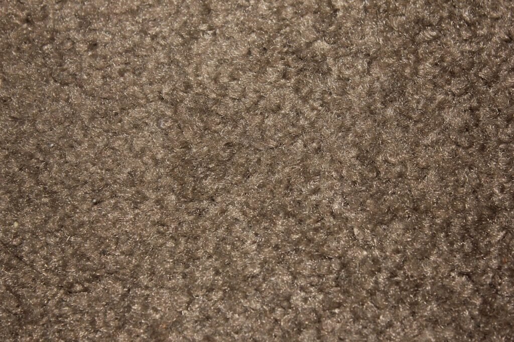 carpet, texture, rough, material, fabric, floor, textile, rug, flooring, interior, brown interior, carpet, carpet, carpet, carpet, carpet, rug, rug
